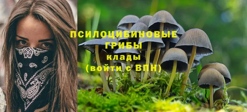 Галлюциногенные грибы Psilocybine cubensis Миасс